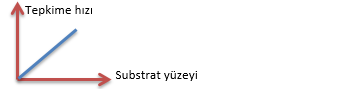 Substrat yüzeyi-tepkime hızı ilişkisi